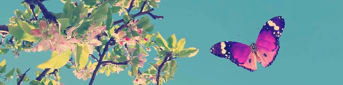 Управление эффективностью бизнеса Управление эффективностью бизнеса